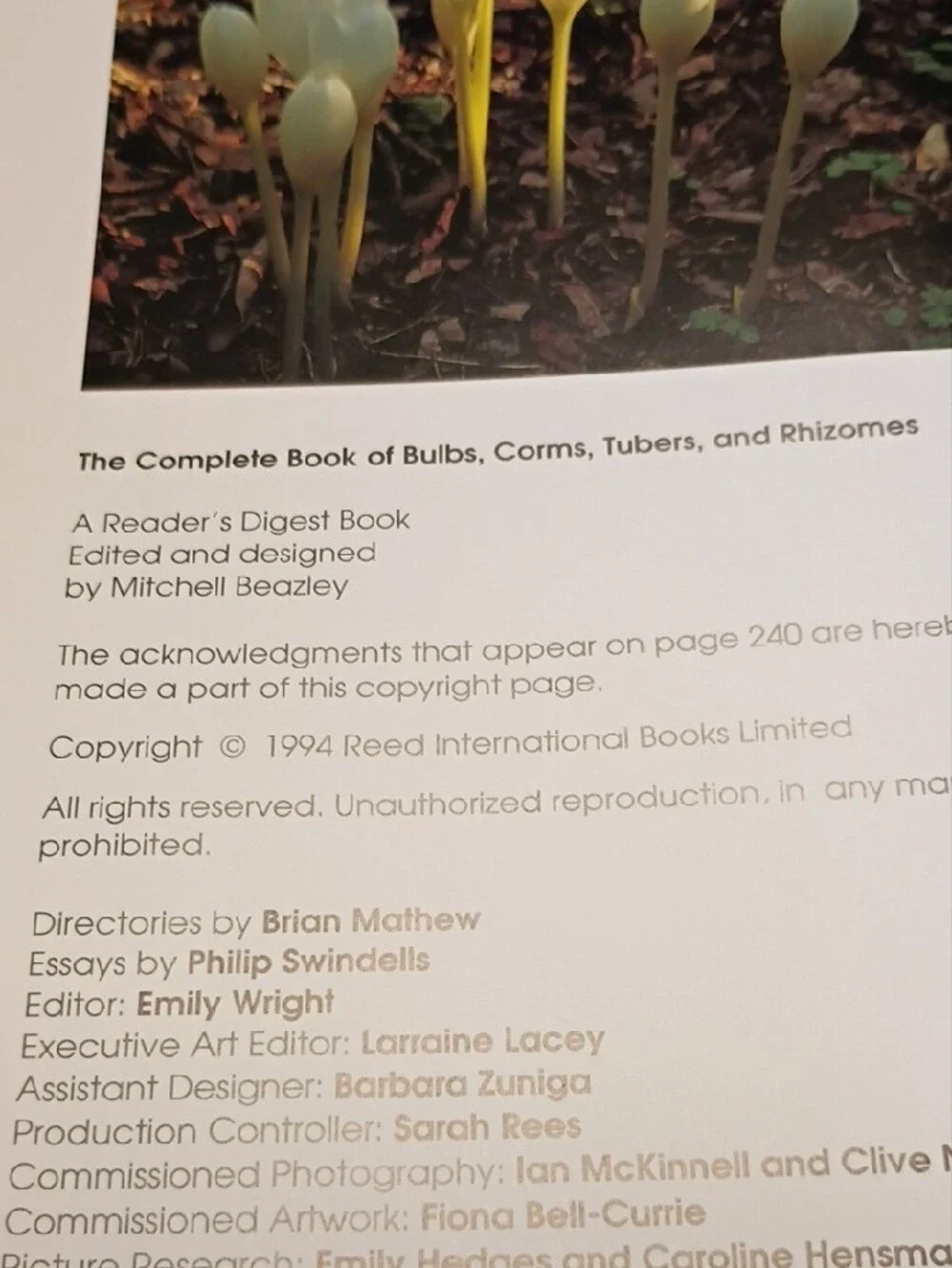 The Complete Book of Bulbs — Black Cover